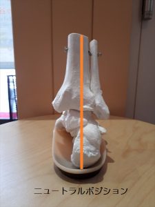 ニュートラルポジション