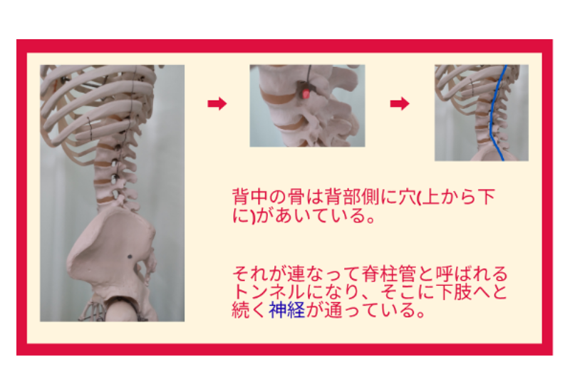 jionji-blog202508251