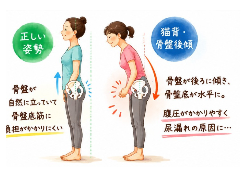 tatemoto202607062